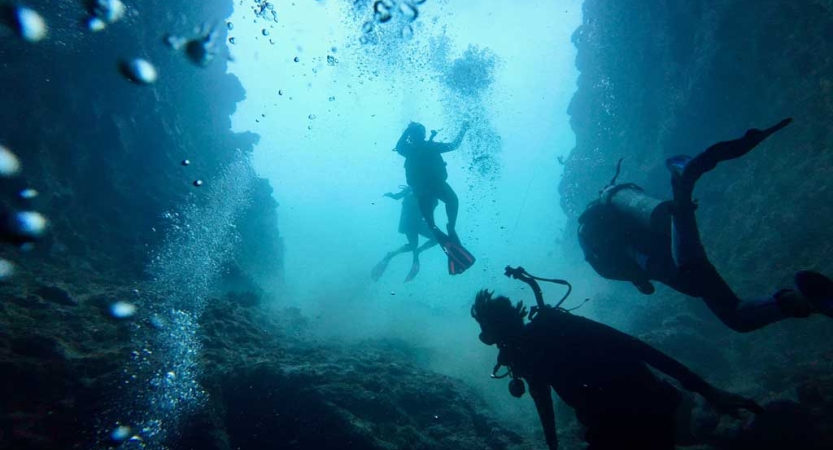 A group of scuba divers appear above the camera, along with their bubbles